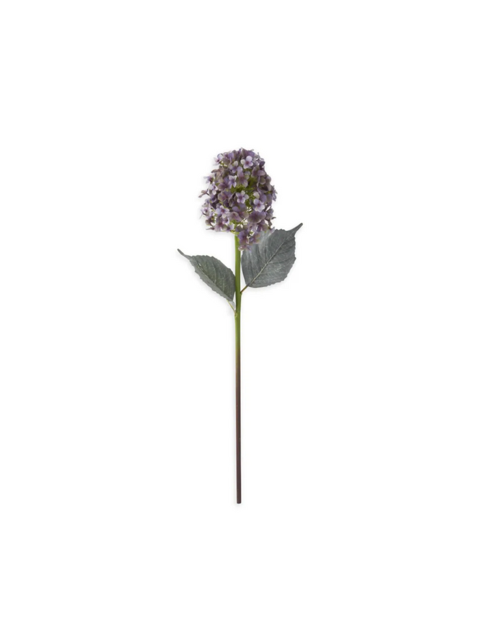 28" Light Purple Cone Hydrangea - Madison's Niche