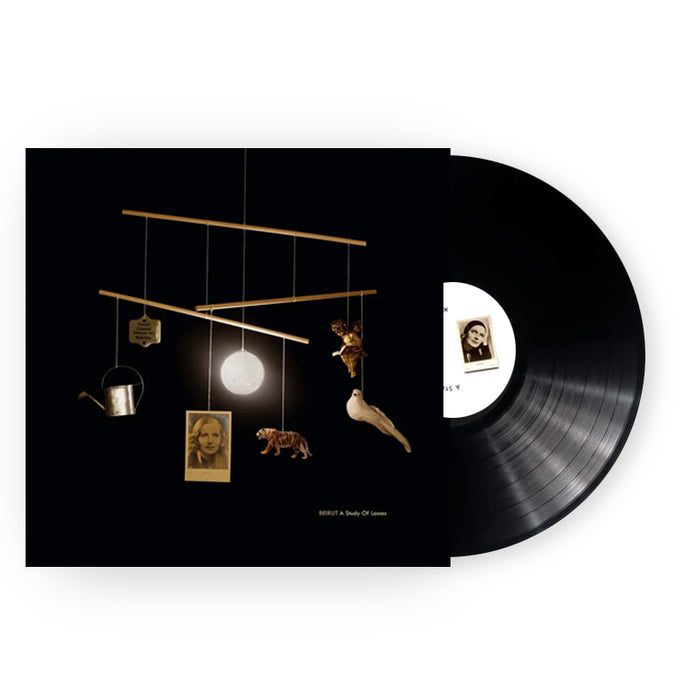 A Study of Losses LP - Bingo Merch