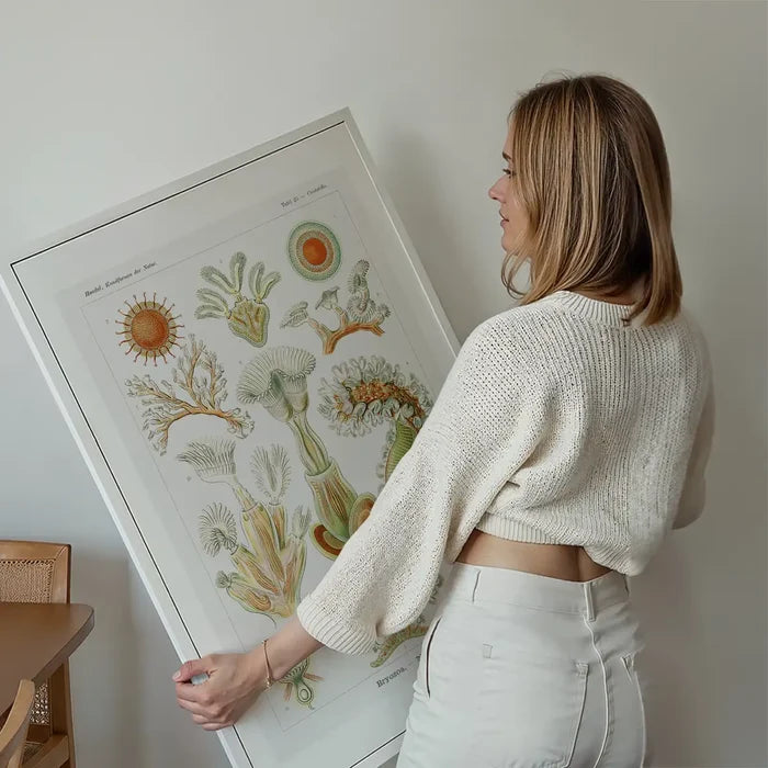 Acquatic Invertebrates Illustration Print held up against a living room wall