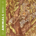 Book cover for 'Animals Hide' by Kate Riggs and Anne Yvonne Gilbert, featuring a detailed illustration of a leopard camouflaged among tree branches and leaves, with a green title band on the left.