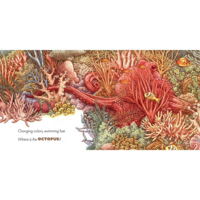 A colorful underwater coral reef illustration with a red octopus among branching coral and small fish, with partial text on the left reading, 'Changing colors, swimming fast. Where is the OCTOPUS?'.