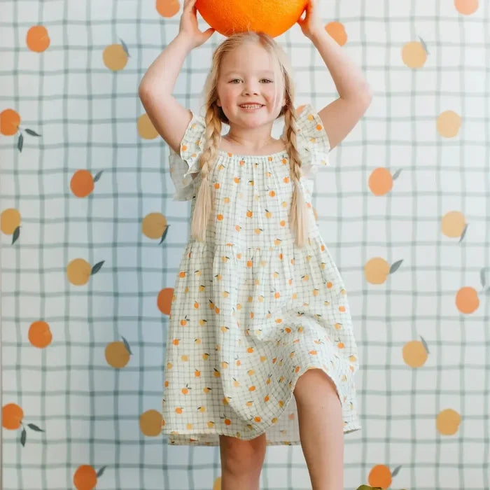 Apple Park - Organic Flutter Strap Sundress - Gingham Grove-Dresses-6-12M-Posh Baby