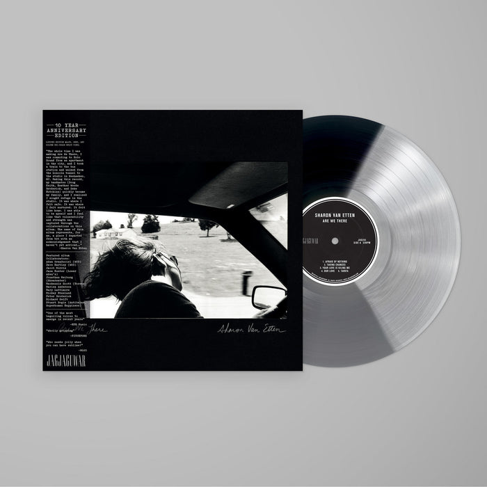 Are We There 10th Anniversary Edition Black/Silver/Grey Vinyl LP - Bingo Merch