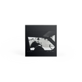 Are We There CD - Bingo Merch
