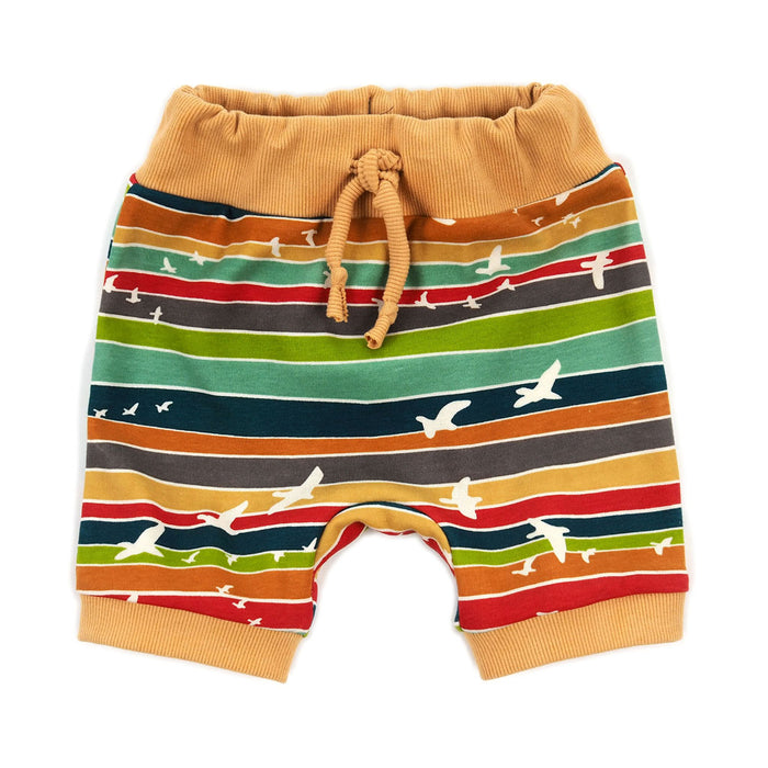 banded pants : 114