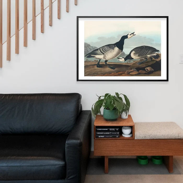 Barnacle Goose Vintage Bird Print framed above a living room sofa