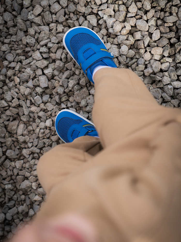 Be Lenka | Glade Preschool - Blue & Green | Kids Barefoot Sneakers