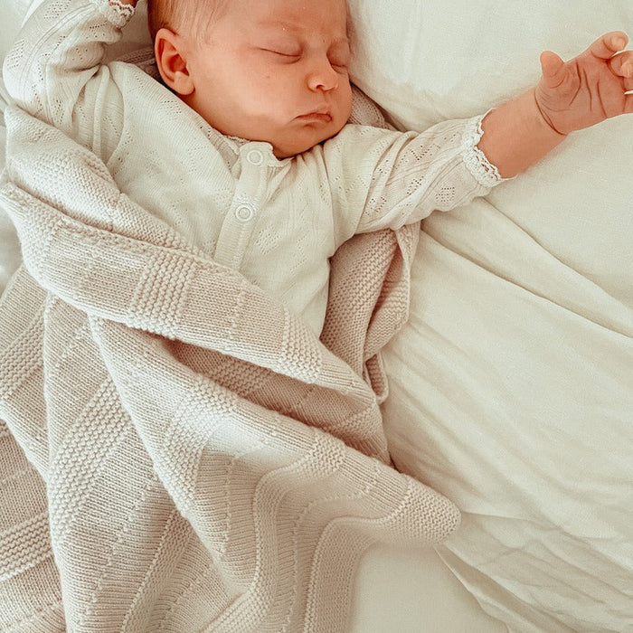 Blanket Holly - pebble