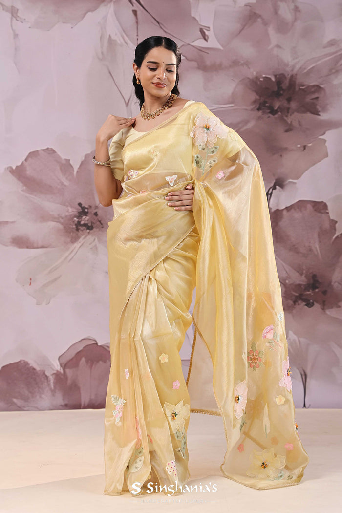 <img>  yellow organza saree with embroidery