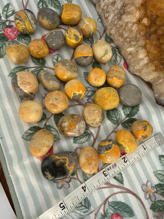 Bumble Bee Jasper Tumbled Stones 1/2 Kg-1lbs