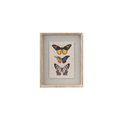 Butterfly Wall Art with Stripes - Madison's Niche