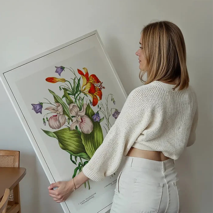 Canadian Wild Flowers Antique Illustration Print held up against a living room wall