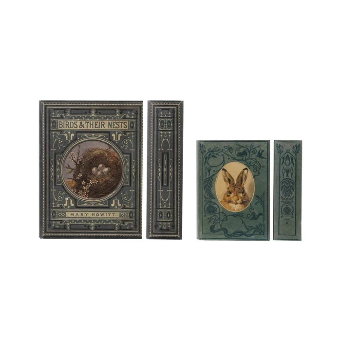 Canvas Book Storage Box - Madison's Niche