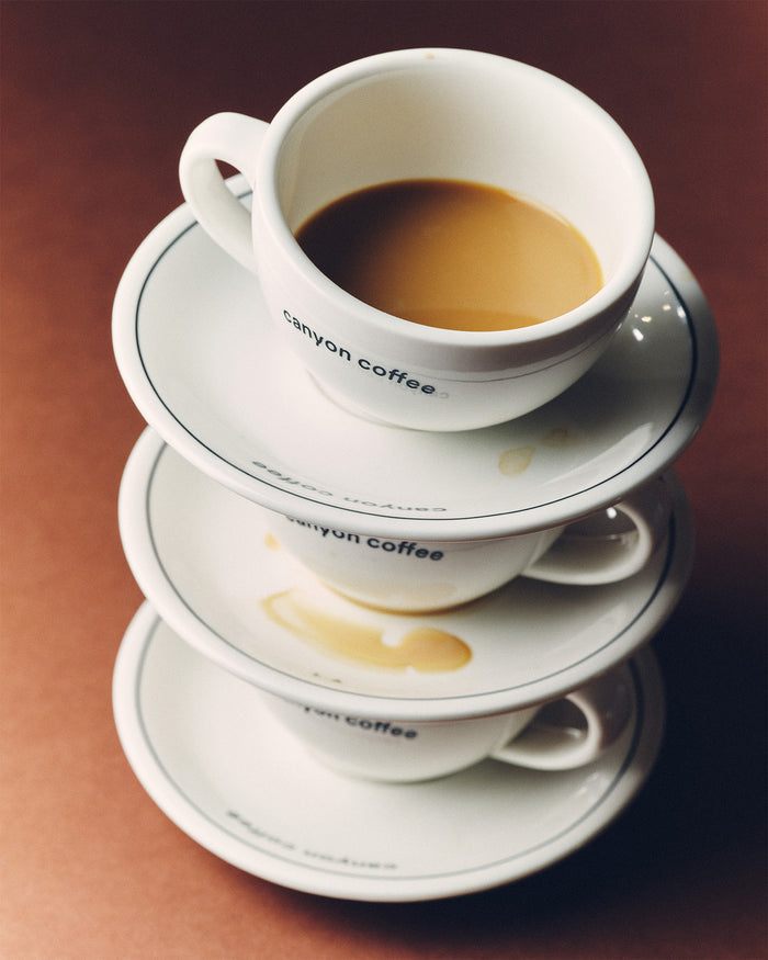 Canyon Cup and Saucer