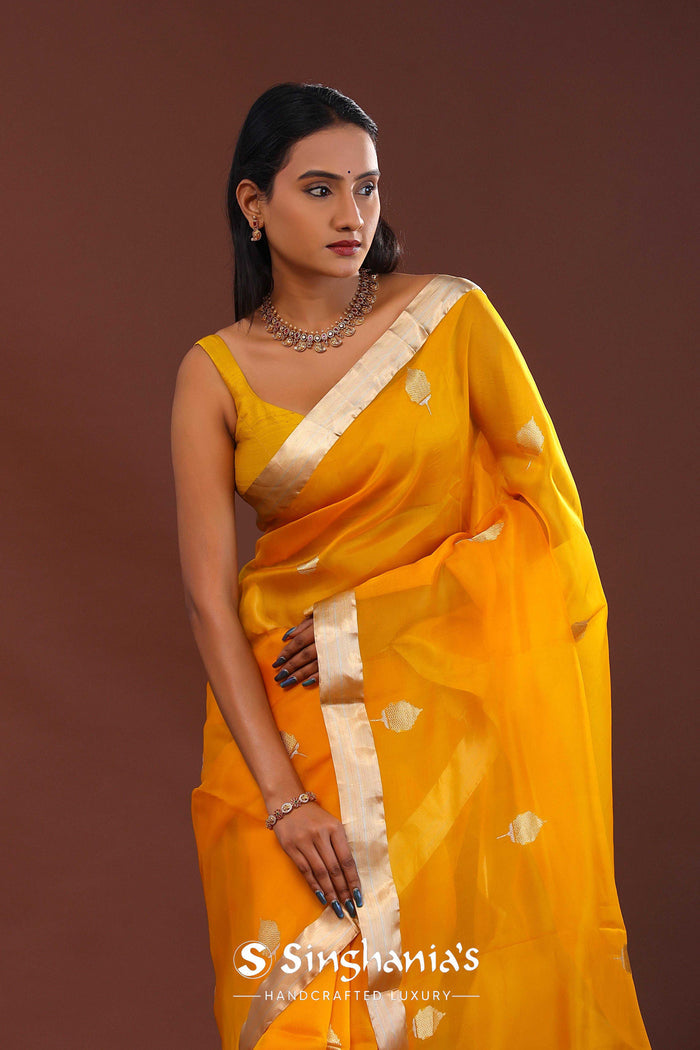 Carrot Orange Organza Banarasi Saree