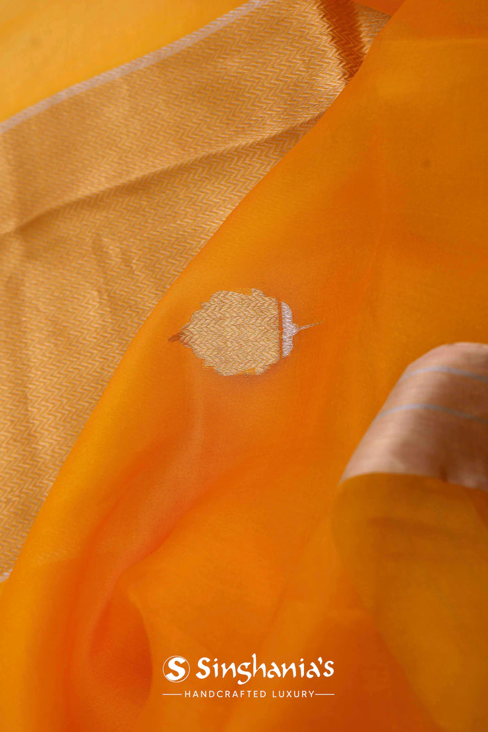 Carrot Orange Organza Banarasi Saree