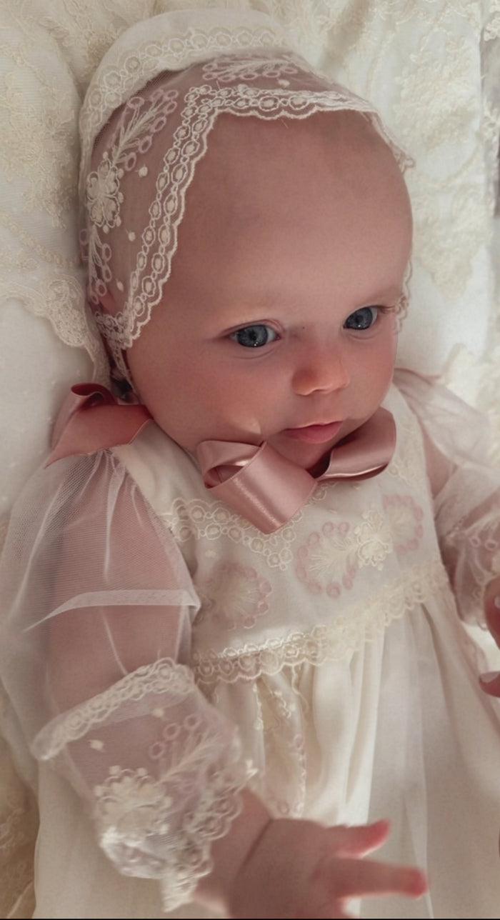Clotilde Ivory and Dusty Pink Lace Gown