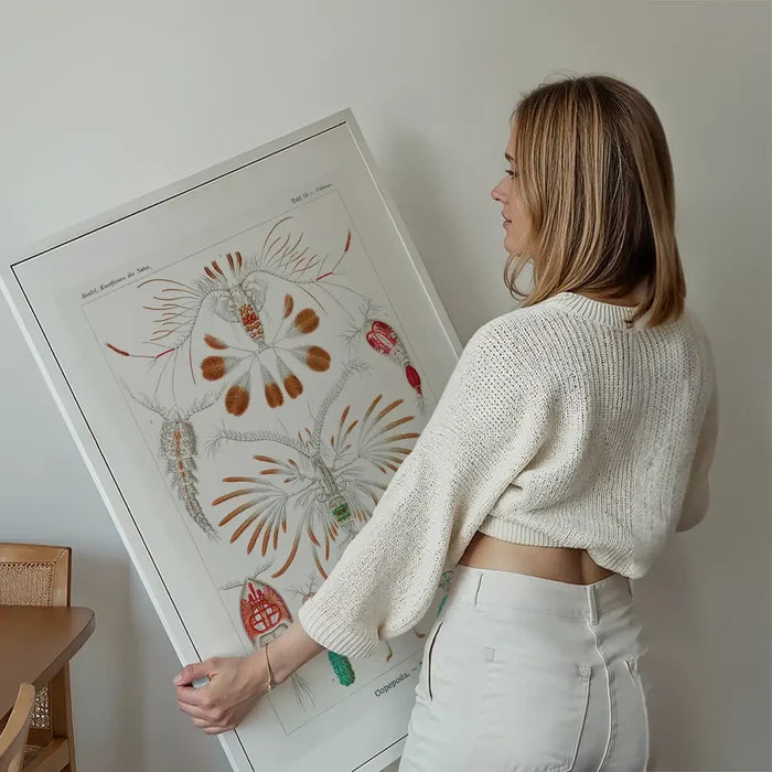 Copopod Crustaceans Illustration Print held up against a living room wall