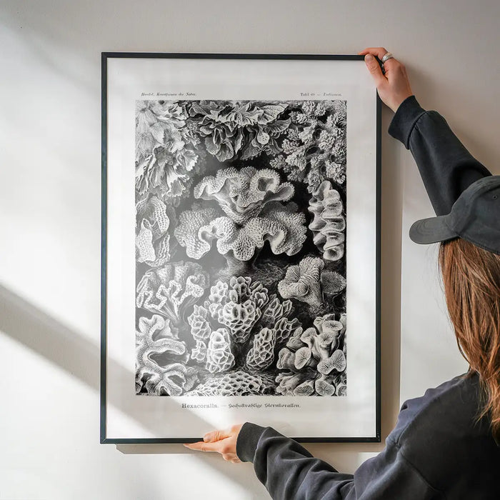 Corals Illustration Print being hung on a wall in a black frame