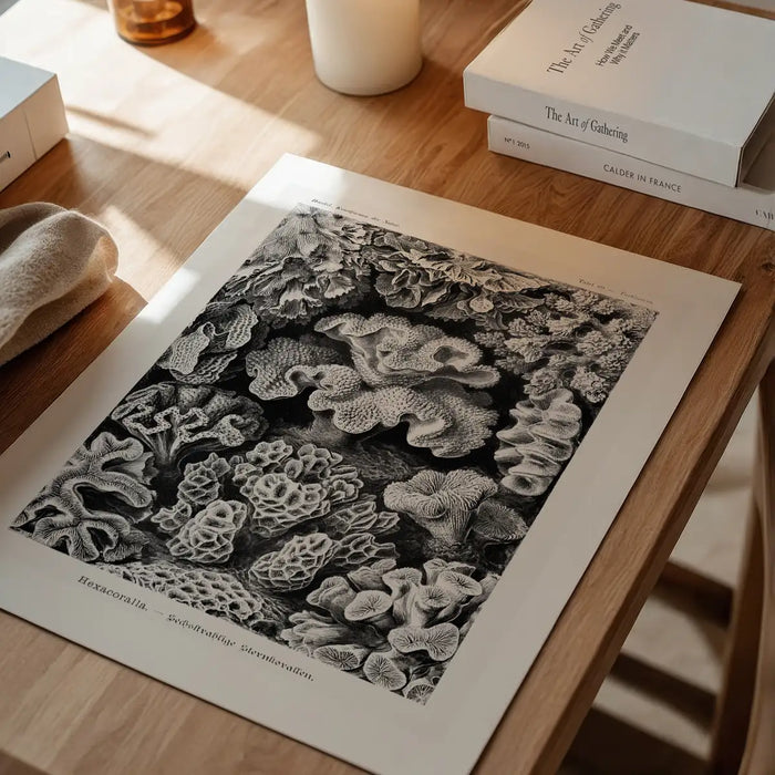 Corals Illustration Print unframed on a home office desk