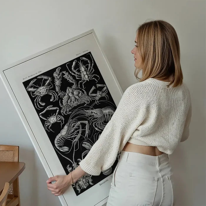 Crabs Black & White Illustration Print held up against a living room wall