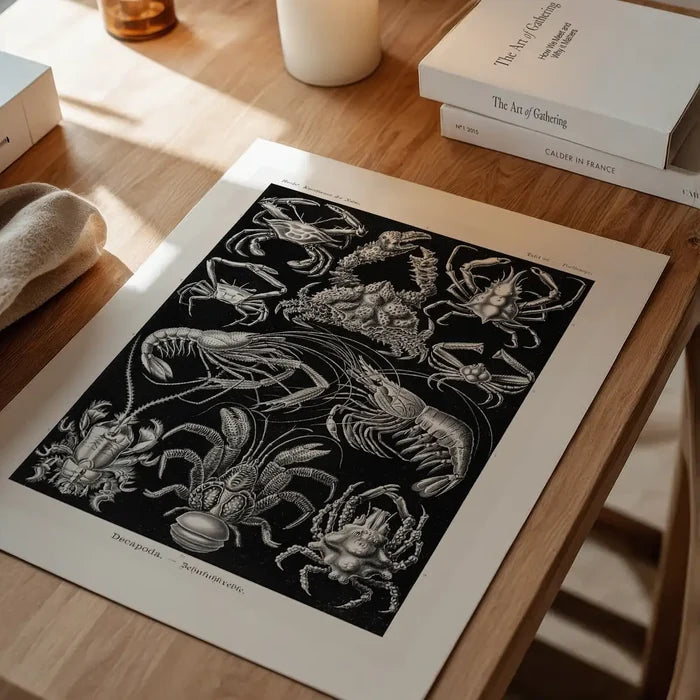 Crabs Black & White Illustration Print unframed on a home office desk