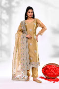 Dark Beige Organza Tissue Floral Embroidered Kurta Set