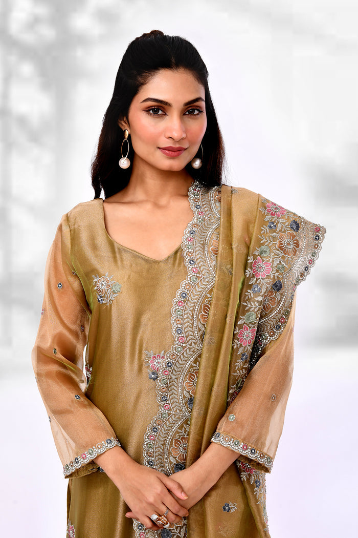 Dark Beige Organza Tissue Floral Embroidered Kurta Set