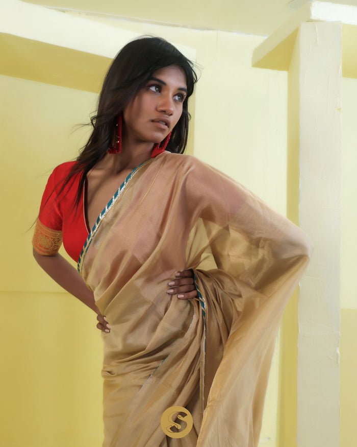 <img> Dark Beige Tissue Designer Saree With Embroidery Border