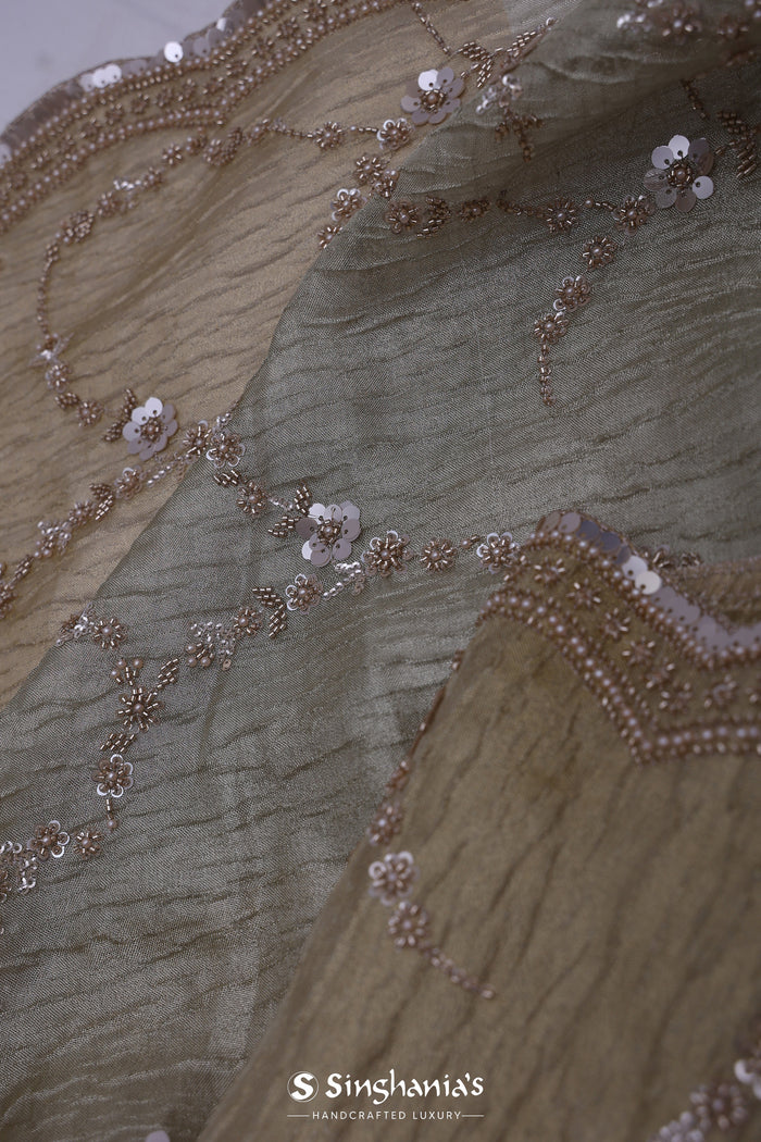 Dual Shade Tissue Fancy Saree With Floral Embroidery