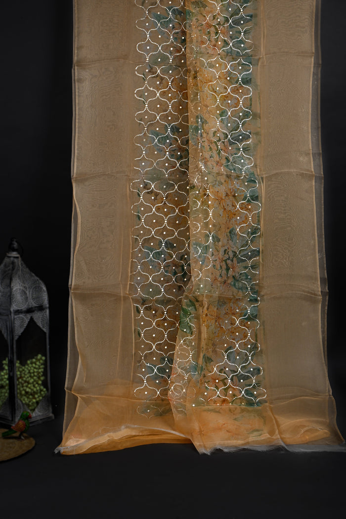Dusty Multicolour Printed Organza Saree