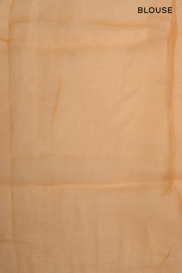 Dusty Multicolour Printed Organza Saree