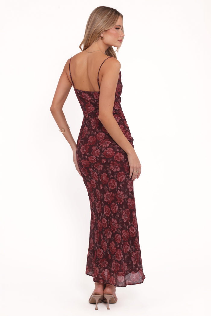 Petal and Pup USA DRESSES Esmeralda Maxi Dress - Pink Floral
