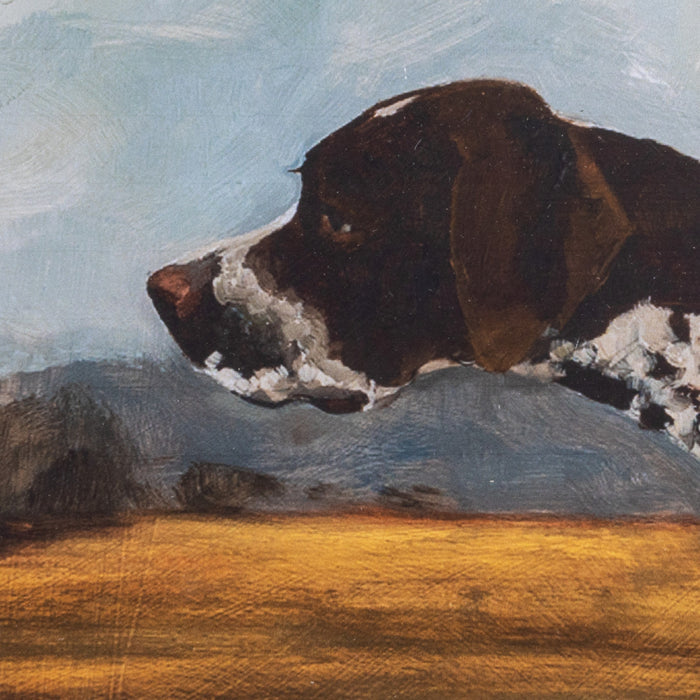 Framed Dog Wall Art - Madison's Niche