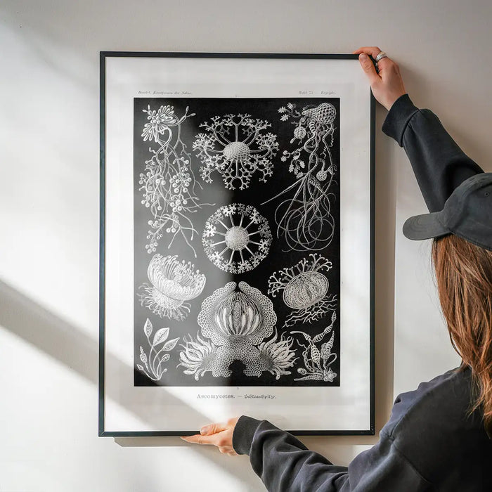 Fungi Illustration Print being hung on a wall in a black frame