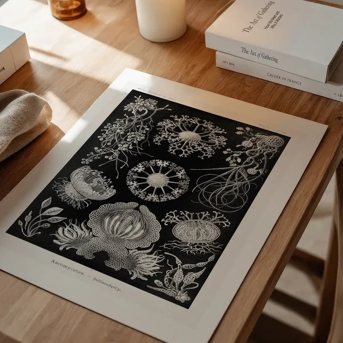 Fungi Illustration Print unframed on a home office desk