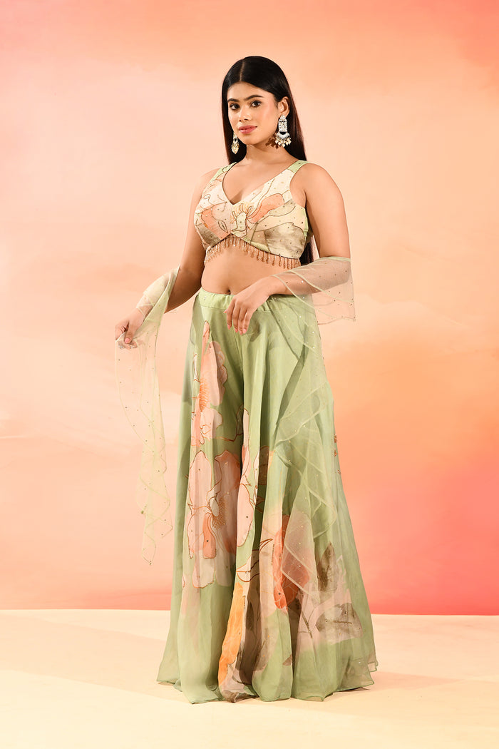 Green Floral Organza Choli Set
