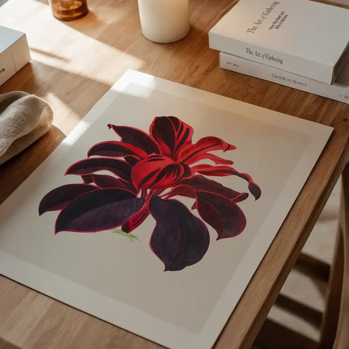 Hand drawn Hawaiian Ti plant print, vintage botanical print unframed on a home office desk