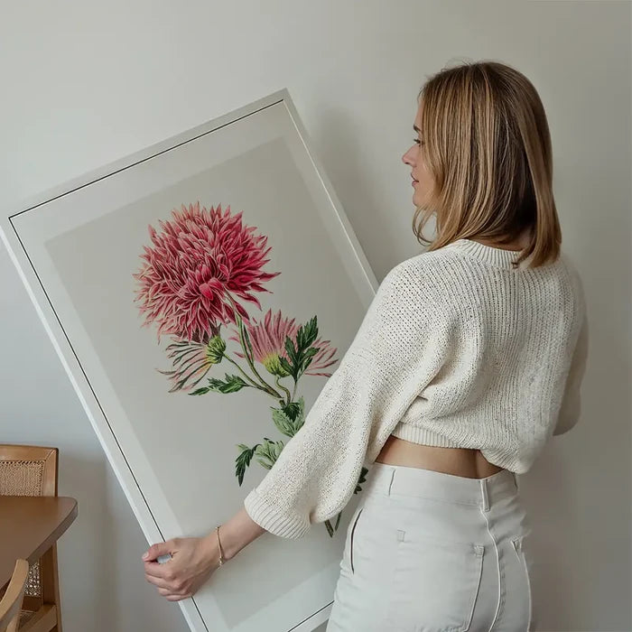 Hand drawn pink Chrysanthemum Illustration print held up against a living room wall