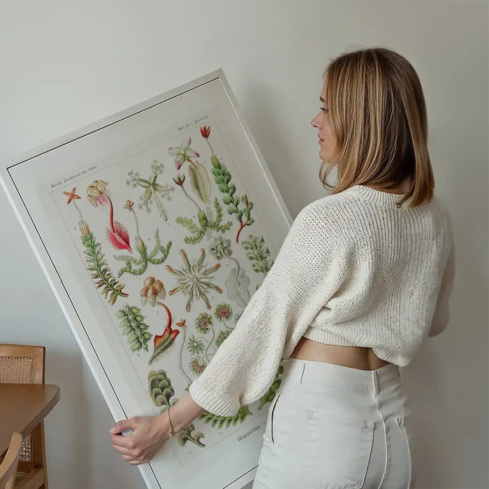Hepaticae–Lebermoose Liverworts by Ernst Haeckel Print held up against a living room wall