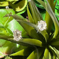 Herkimer Diamond Stud Earrings | .925 Sterling Silver