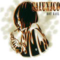 Calexico Hot Rail CD CD- Bingo Merch Official Merchandise Shop Official