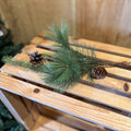 Mixed Pine/Pinecone Spray