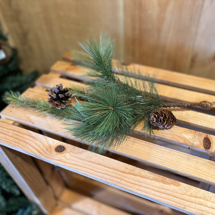 Mixed Pine/Pinecone Spray