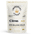 Pouch of Imperial Yeast A20 Citrus