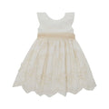 Jazmin Lace and Tulle Dress