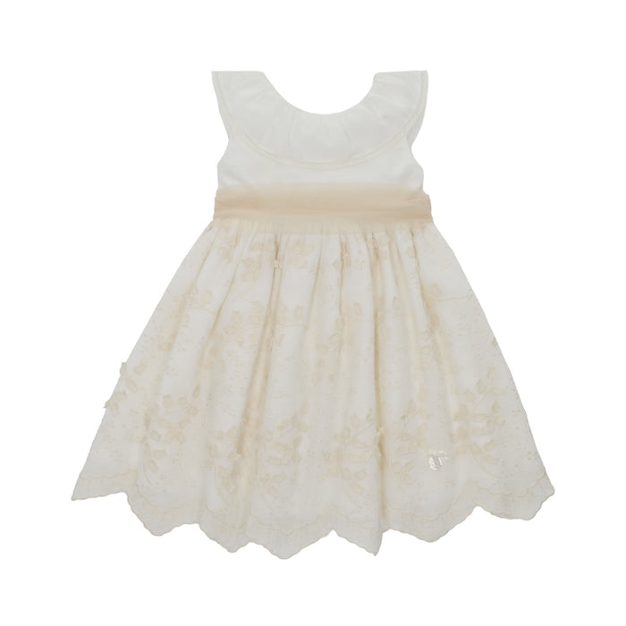 Jazmin Lace and Tulle Dress