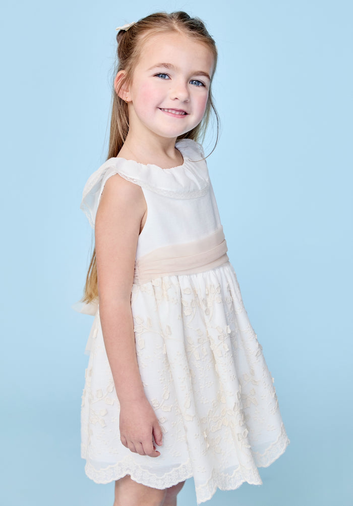 Jazmin Lace and Tulle Dress