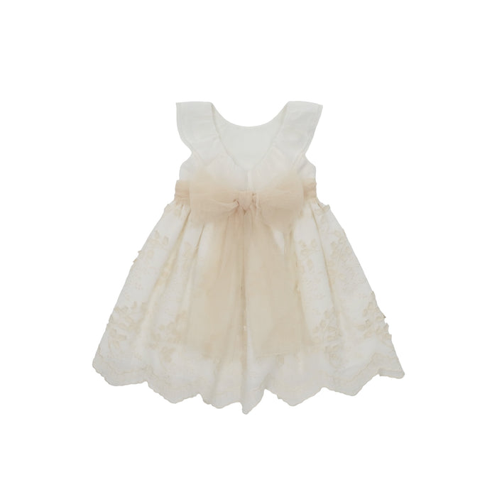 Jazmin Lace and Tulle Dress