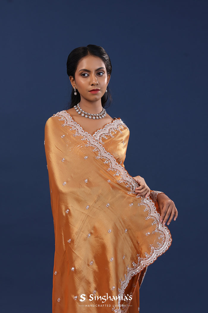 Jewel Orange Tissue Saree With Sequin Work